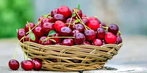 Here’s why Cherries are Beneficial for You